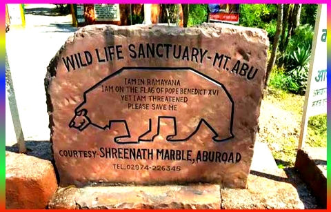 Wildlife Sanctuary Mount Abu